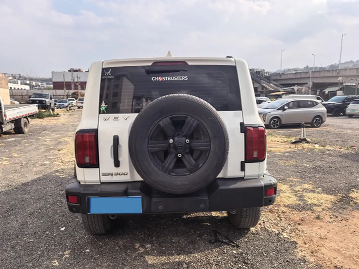 2021 Tank 300 2.0T 227HP L4 8AT,autocango,china used car exporter,china ev exporter,chinese used car exporter,chinese used ev exporter