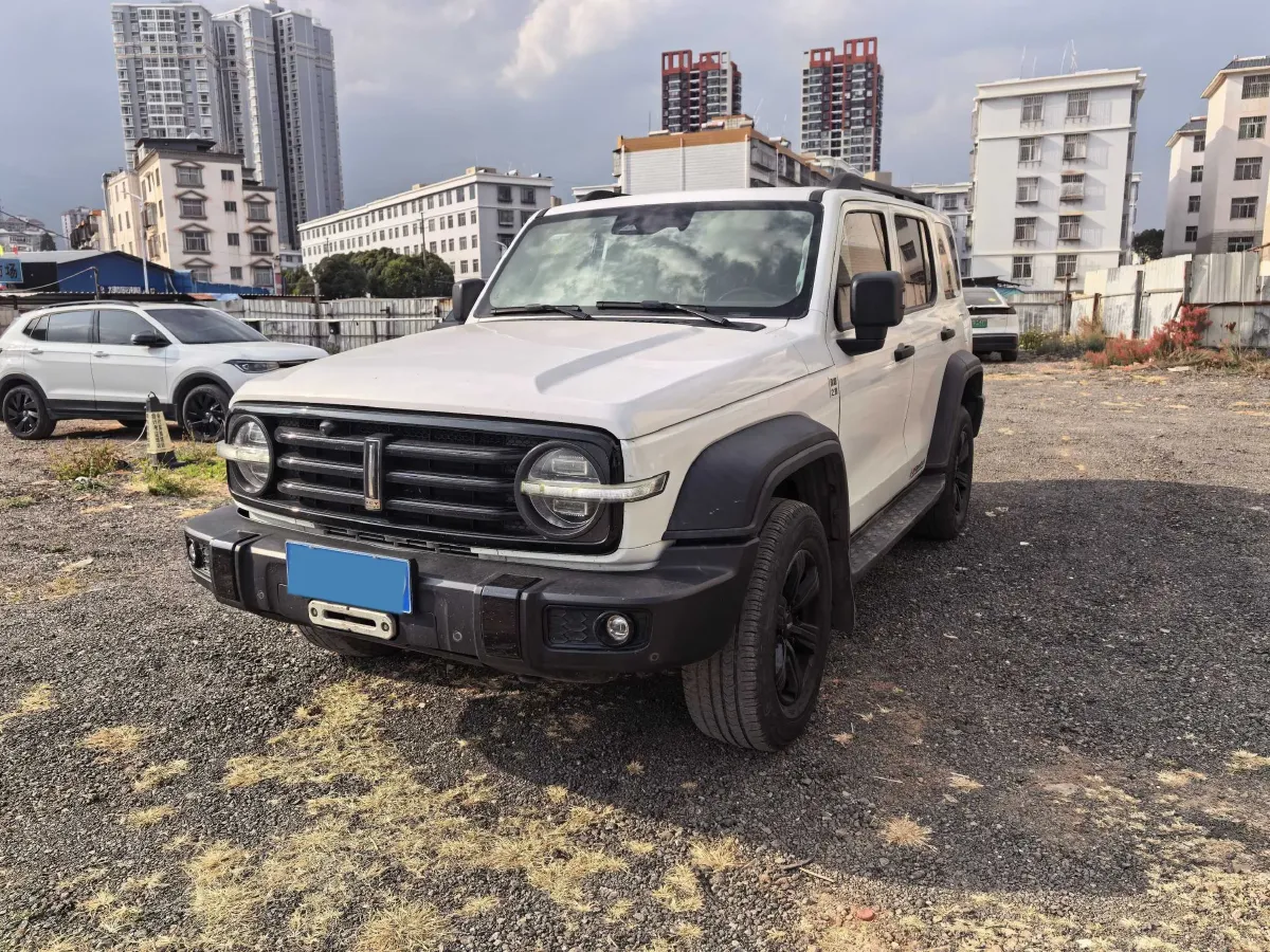 2021 Tank 300 2.0T 227HP L4 8AT,autocango,china used car exporter,china ev exporter,chinese used car exporter,chinese used ev exporter