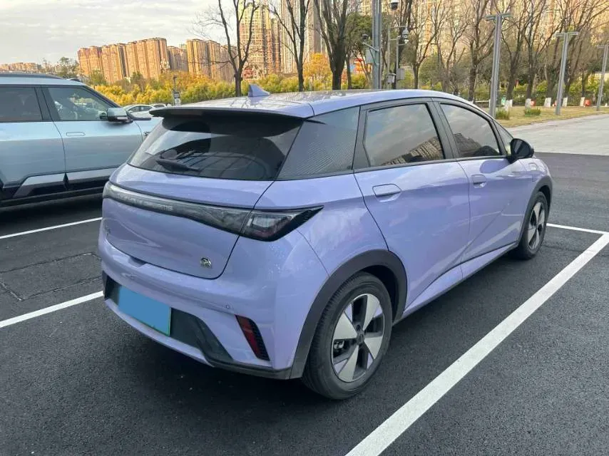 2023 BYD Dolphin BEV 44.928KWH,autocango,china used car exporter,china ev exporter,chinese used car exporter,chinese used ev exporter