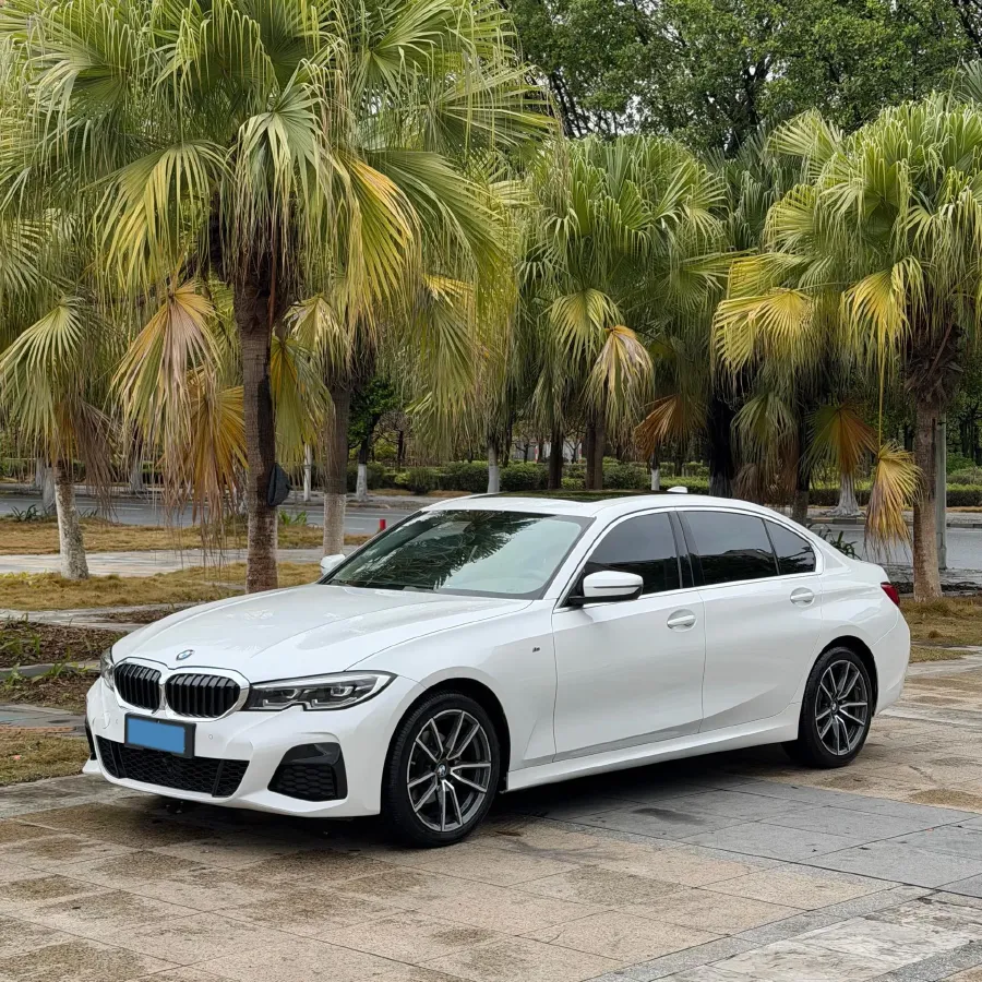 2021 BMW 3 Series 2.0T 156HP L4 8AT,autocango,china used car exporter,china ev exporter,chinese used car exporter,chinese used ev exporter
