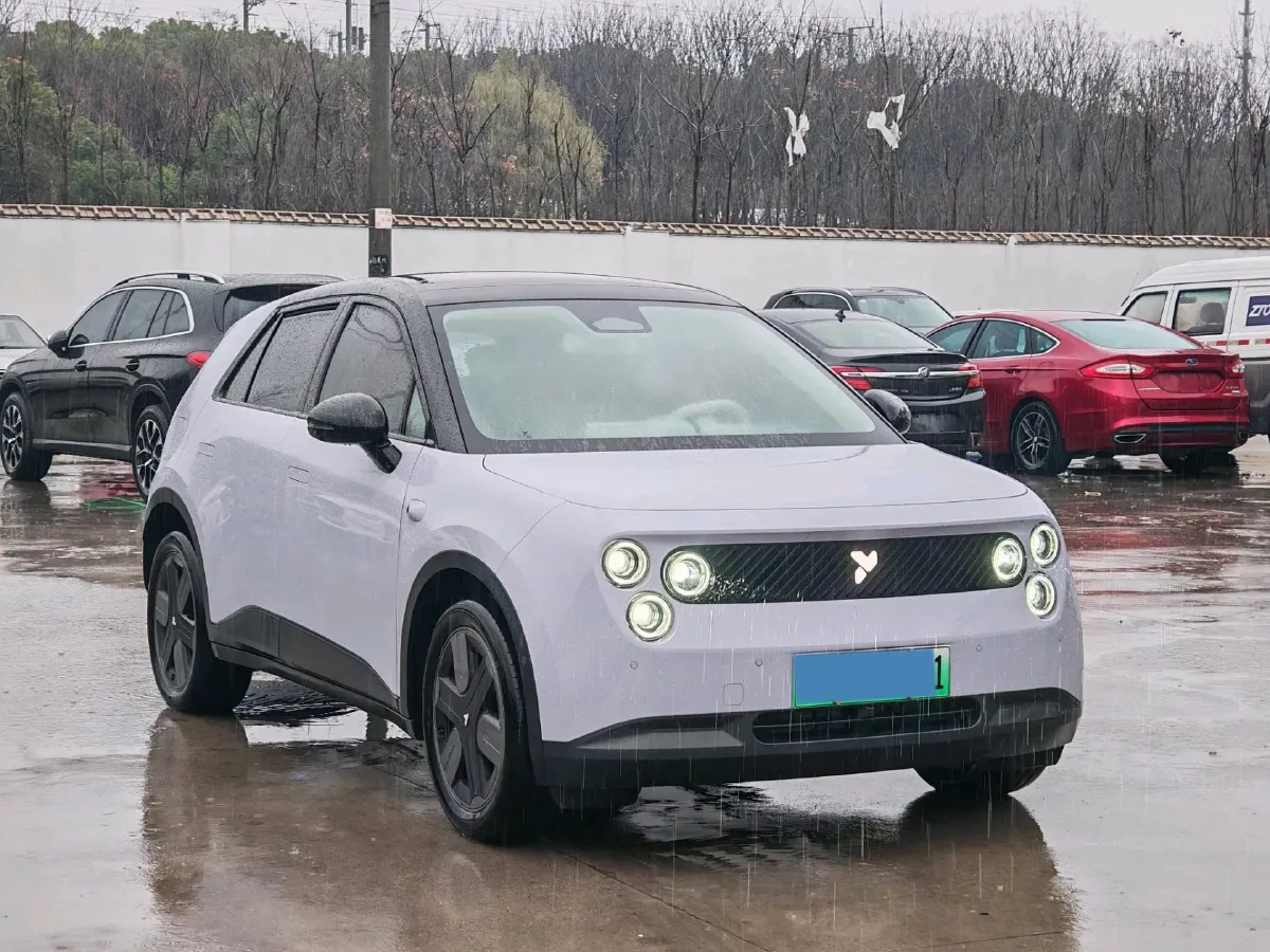 2025 Firefly Firefly BEV,autocango,china used car exporter,china ev exporter,chinese used car exporter,chinese used ev exporter