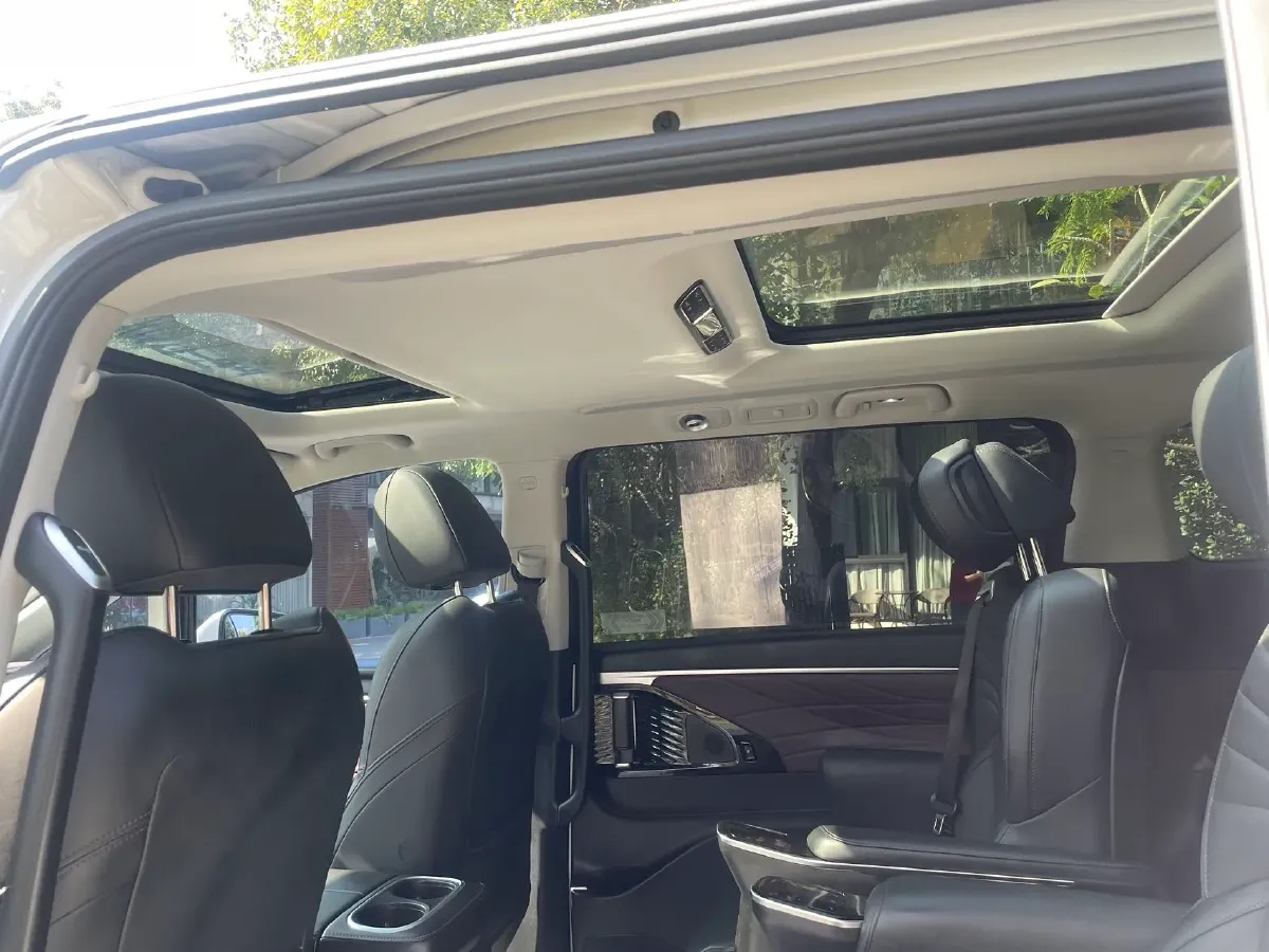 2024 GAC Trumpchi M8 2.0T 252HP L4 8AT,autocango,china used car exporter,china ev exporter,chinese used car exporter,chinese used ev exporter