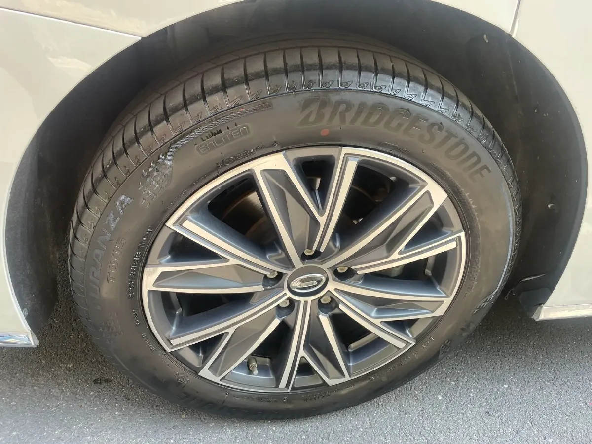 2024 GAC Trumpchi M8 2.0T 252HP L4 8AT,autocango,china used car exporter,china ev exporter,chinese used car exporter,chinese used ev exporter