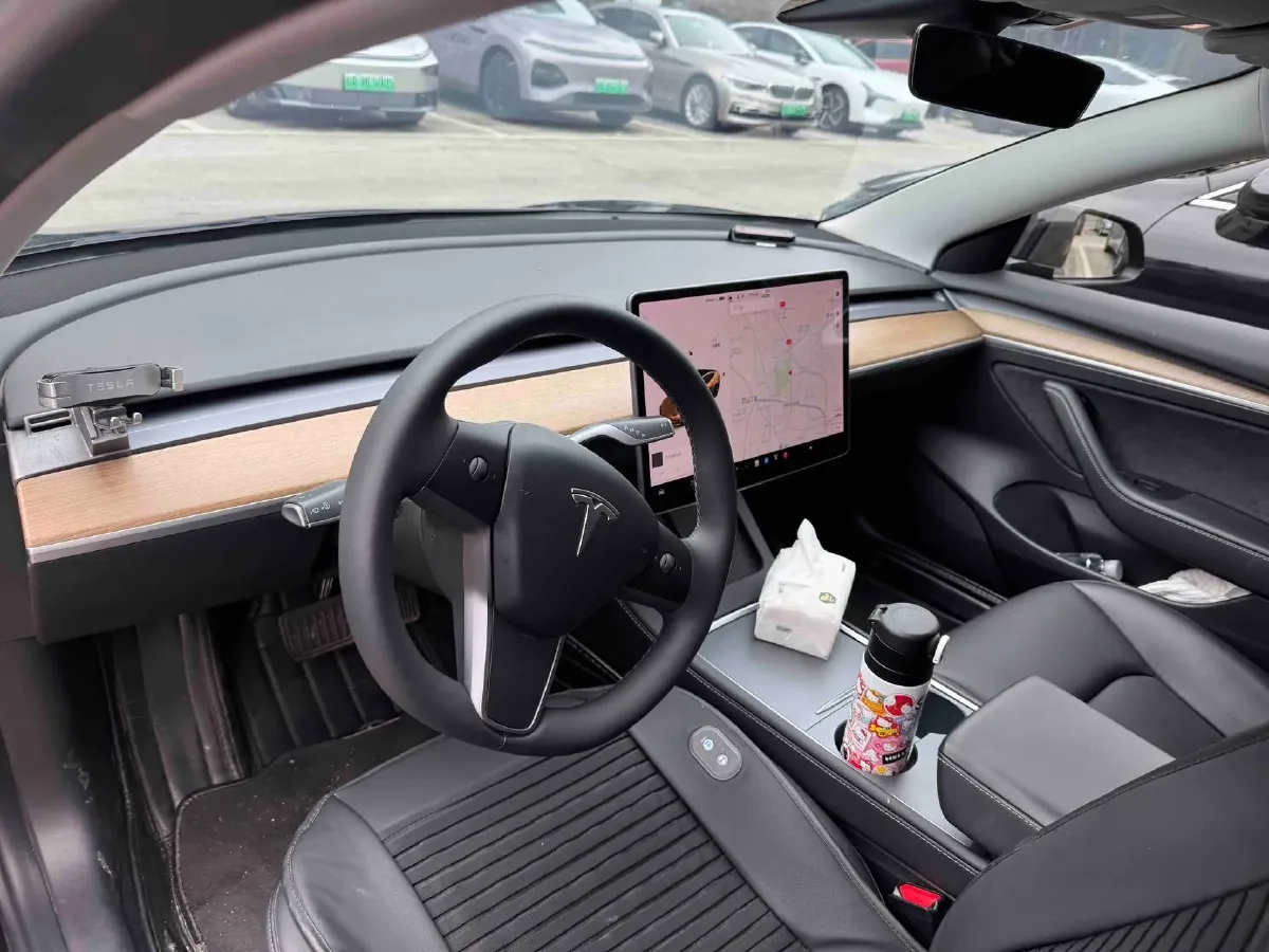 2021 Tesla Model 3 BEV 55KWH,autocango,china used car exporter,china ev exporter,chinese used car exporter,chinese used ev exporter