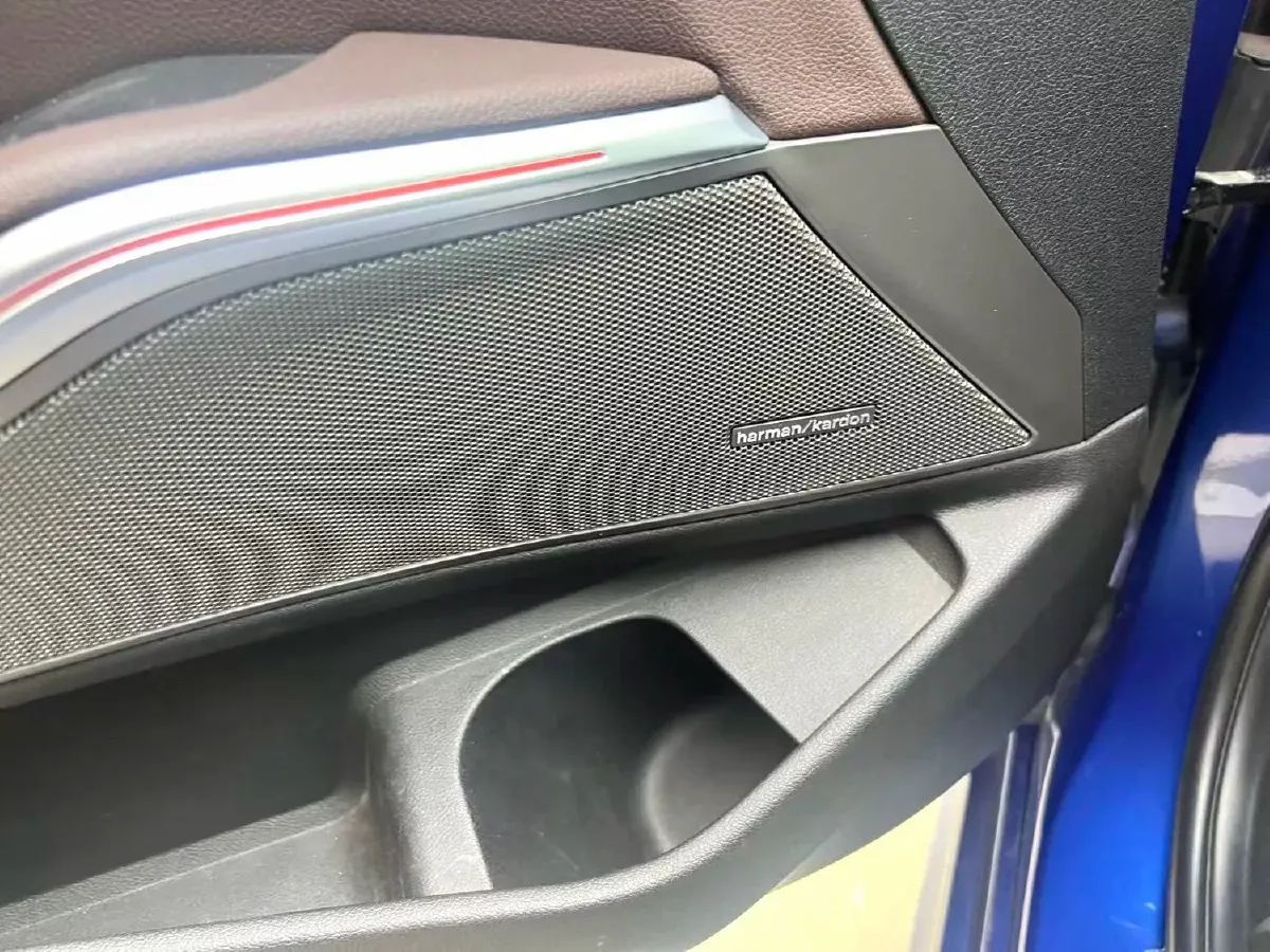 2020 BMW 3 Series 2.0T 184HP L4 8AT,autocango,china used car exporter,china ev exporter,chinese used car exporter,chinese used ev exporter