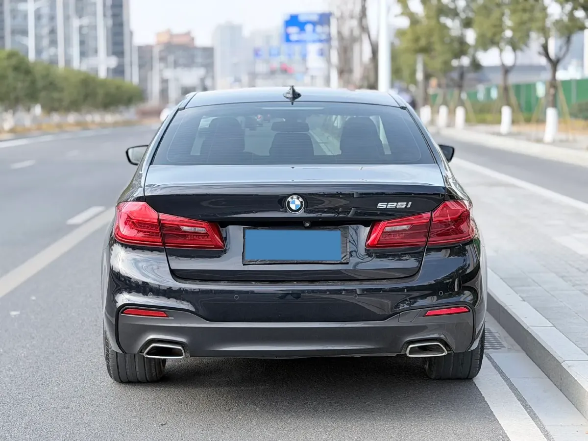 2020 BMW 5 Series 2.0T 184HP L4 8AT,autocango,china used car exporter,china ev exporter,chinese used car exporter,chinese used ev exporter