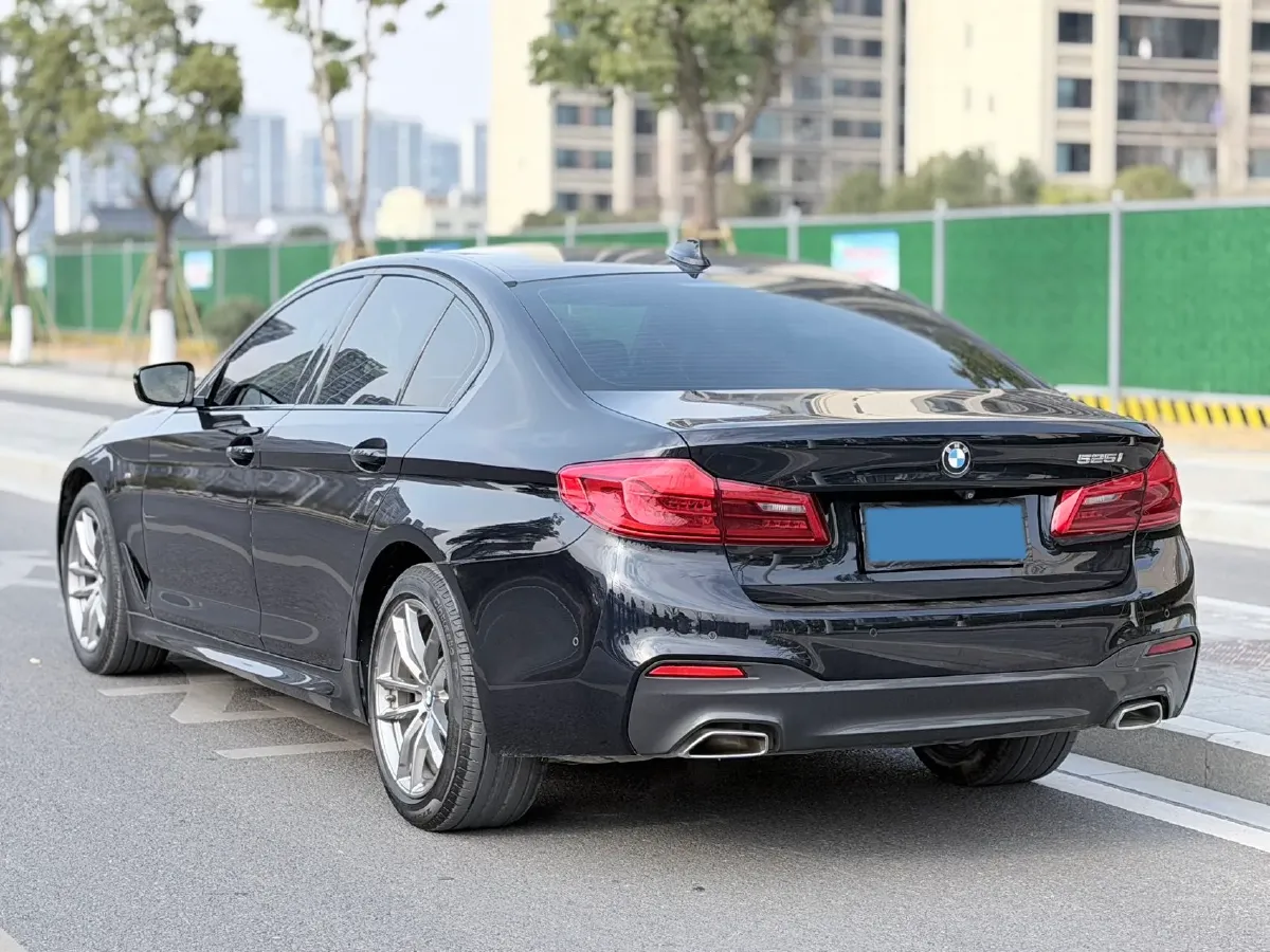 2020 BMW 5 Series 2.0T 184HP L4 8AT,autocango,china used car exporter,china ev exporter,chinese used car exporter,chinese used ev exporter