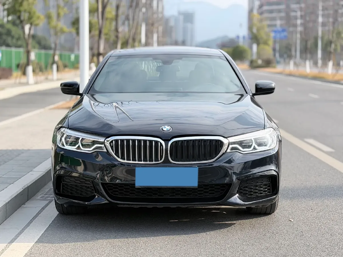 2020 BMW 5 Series 2.0T 184HP L4 8AT,autocango,china used car exporter,china ev exporter,chinese used car exporter,chinese used ev exporter
