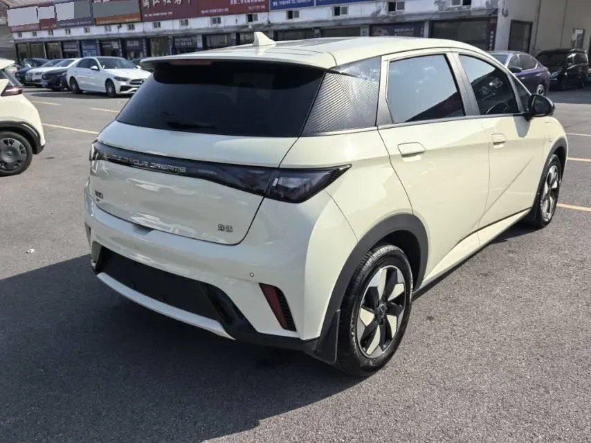 2025 BYD Dolphin BEV 44.928KWH,autocango,china used car exporter,china ev exporter,chinese used car exporter,chinese used ev exporter