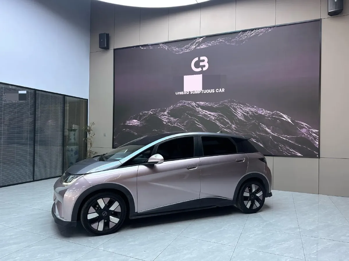 2021 BYD e2 BEV 43.2KWH,autocango,china used car exporter,china ev exporter,chinese used car exporter,chinese used ev exporter