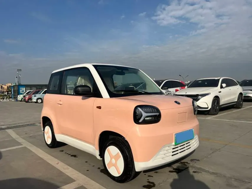 2024 ZD Rainbow BEV 17.3KWH,autocango,china used car exporter,china ev exporter,chinese used car exporter,chinese used ev exporter