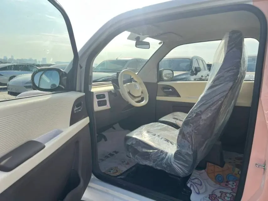 2024 ZD Rainbow BEV 17.3KWH,autocango,china used car exporter,china ev exporter,chinese used car exporter,chinese used ev exporter