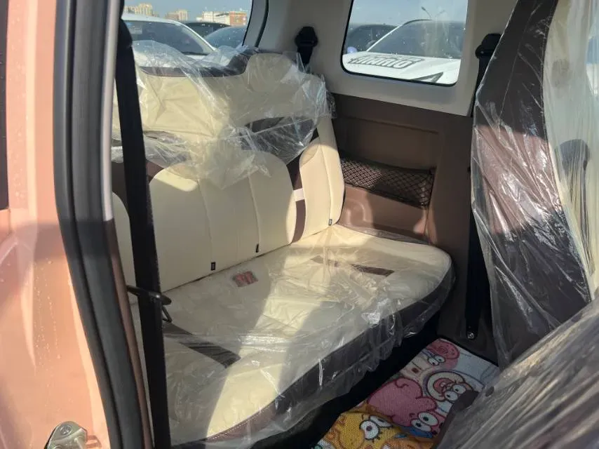 2024 ZD Rainbow BEV 17.3KWH,autocango,china used car exporter,china ev exporter,chinese used car exporter,chinese used ev exporter