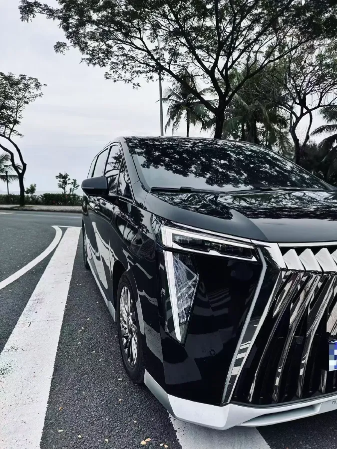 2024 GAC Trumpchi M8 2.0T 252HP L4 8AT,autocango,china used car exporter,china ev exporter,chinese used car exporter,chinese used ev exporter