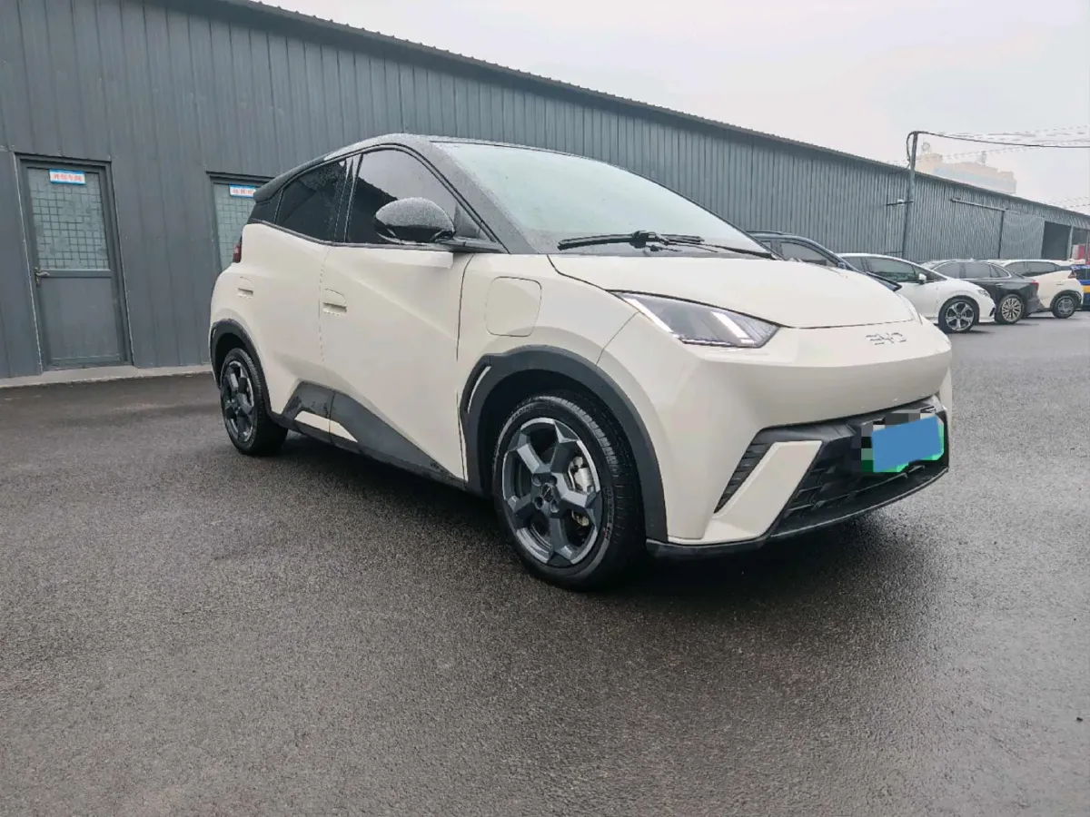 2024 BYD Seagull BEV 30.08KWH,autocango,china used car exporter,china ev exporter,chinese used car exporter,chinese used ev exporter
