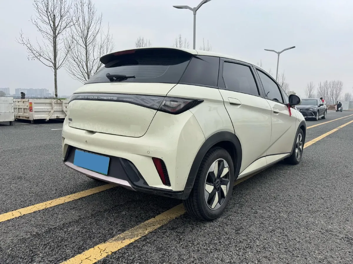 2024 BYD Dolphin BEV 44.928KWH,autocango,china used car exporter,china ev exporter,chinese used car exporter,chinese used ev exporter