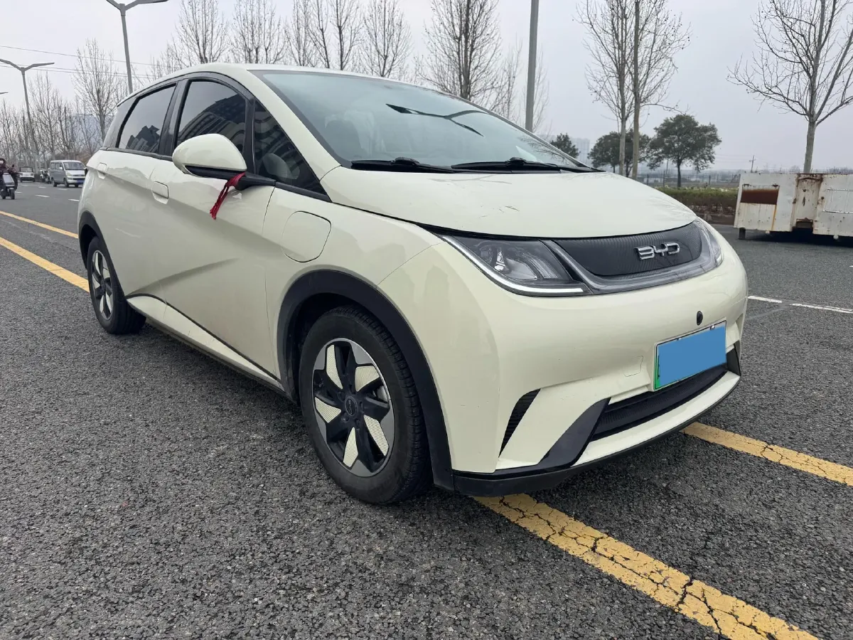 2024 BYD Dolphin BEV 44.928KWH,autocango,china used car exporter,china ev exporter,chinese used car exporter,chinese used ev exporter