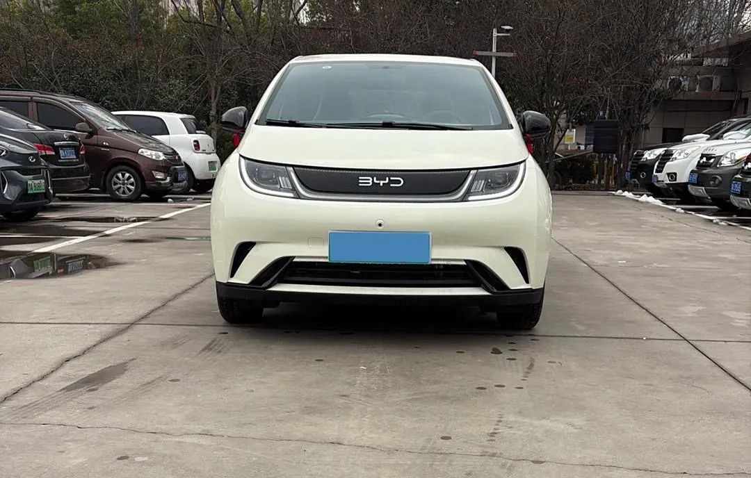 2025 BYD Dolphin BEV 44.928KWH,autocango,china used car exporter,china ev exporter,chinese used car exporter,chinese used ev exporter