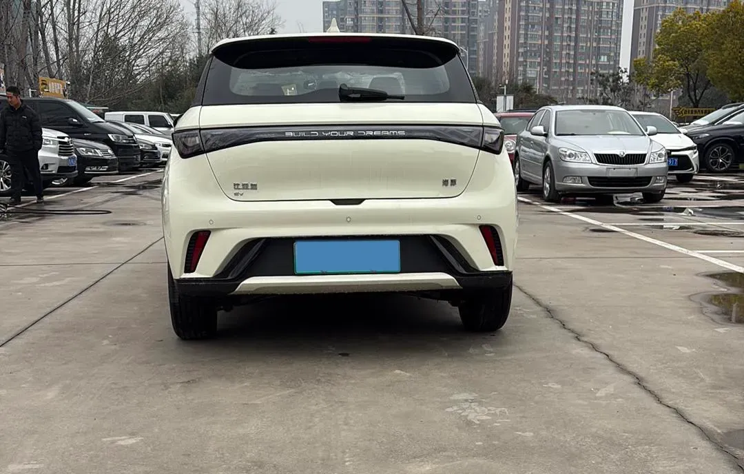 2025 BYD Dolphin BEV 44.928KWH,autocango,china used car exporter,china ev exporter,chinese used car exporter,chinese used ev exporter