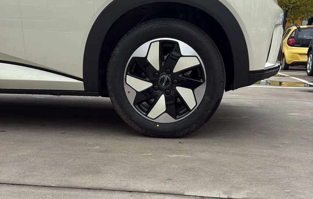 2025 BYD Dolphin BEV 44.928KWH,autocango,china used car exporter,china ev exporter,chinese used car exporter,chinese used ev exporter