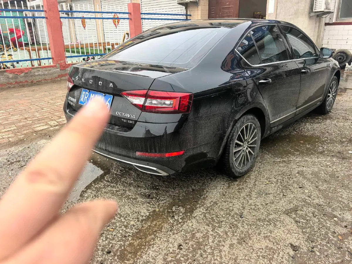 2019 Skoda Octavia 1.2T 116HP L4 7DCT,autocango,china used car exporter,china ev exporter,chinese used car exporter,chinese used ev exporter