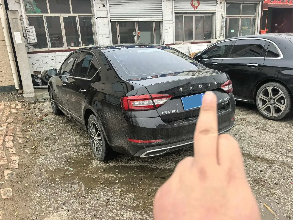 2019 Skoda Octavia 1.2T 116HP L4 7DCT,autocango,china used car exporter,china ev exporter,chinese used car exporter,chinese used ev exporter
