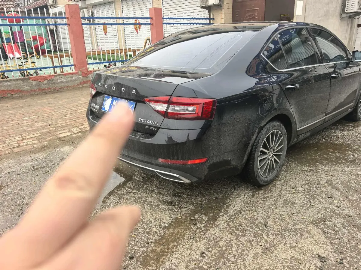 2019 Skoda Octavia 1.2T 116HP L4 7DCT,autocango,china used car exporter,china ev exporter,chinese used car exporter,chinese used ev exporter