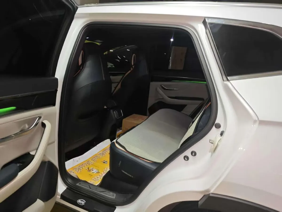 2021 BYD Qin BEV 53.56KWH,autocango,china used car exporter,china ev exporter,chinese used car exporter,chinese used ev exporter