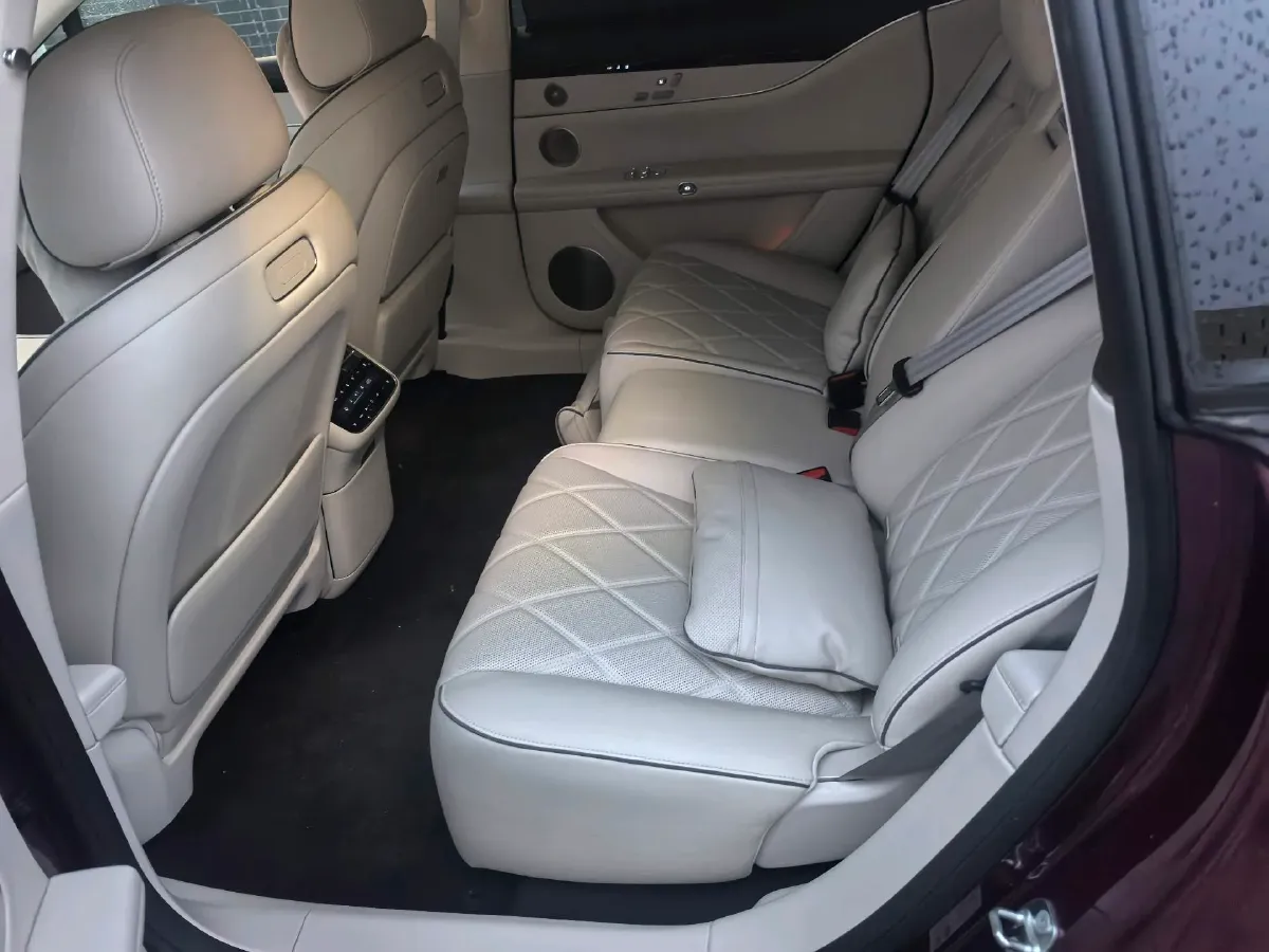 2025 HIMA Stelato S9 REEV 160HP REEV,autocango,china used car exporter,china ev exporter,chinese used car exporter,chinese used ev exporter