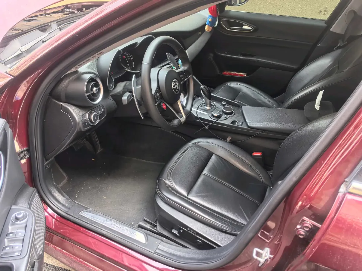 2017 Ford Mustang 2.3T 314HP L4 6AT,autocango,china used car exporter,china ev exporter,chinese used car exporter,chinese used ev exporter