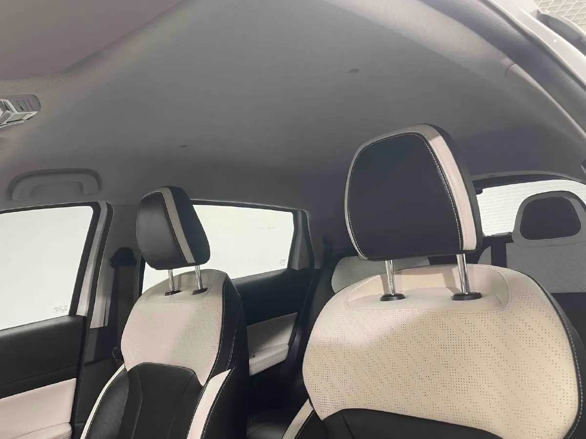 2024 Geometry E BEV 39.3KWH,autocango,china used car exporter,china ev exporter,chinese used car exporter,chinese used ev exporter