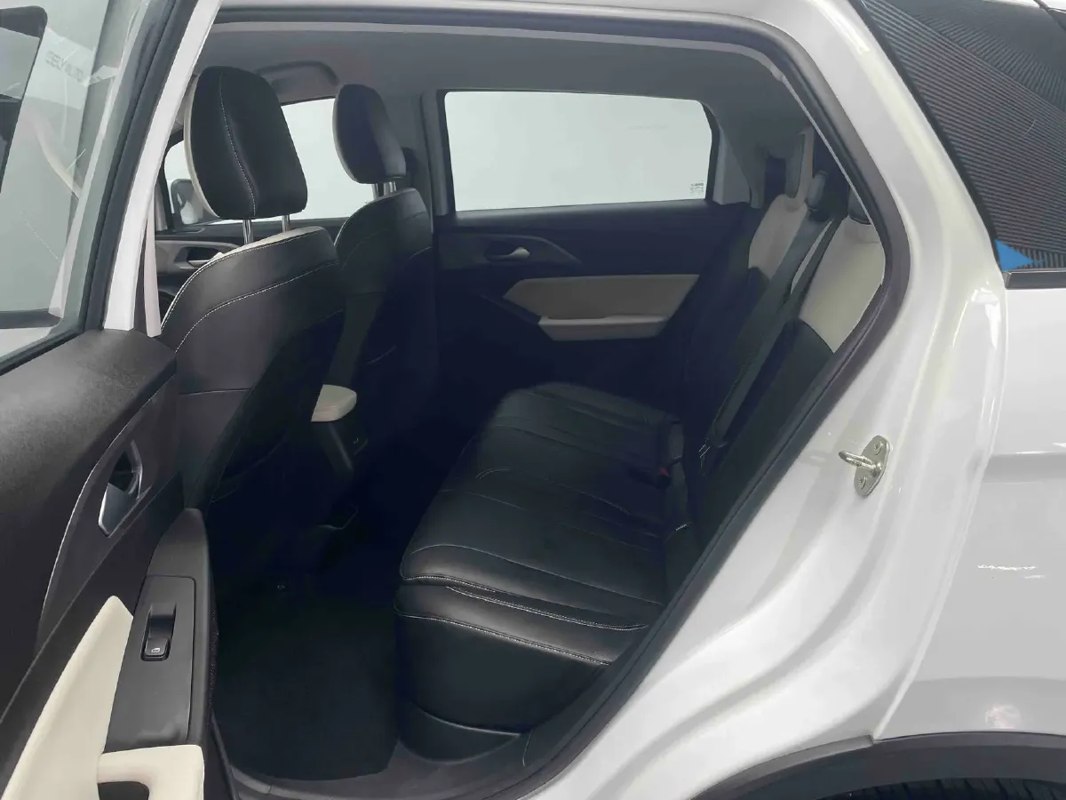 2024 Geometry E BEV 39.3KWH,autocango,china used car exporter,china ev exporter,chinese used car exporter,chinese used ev exporter