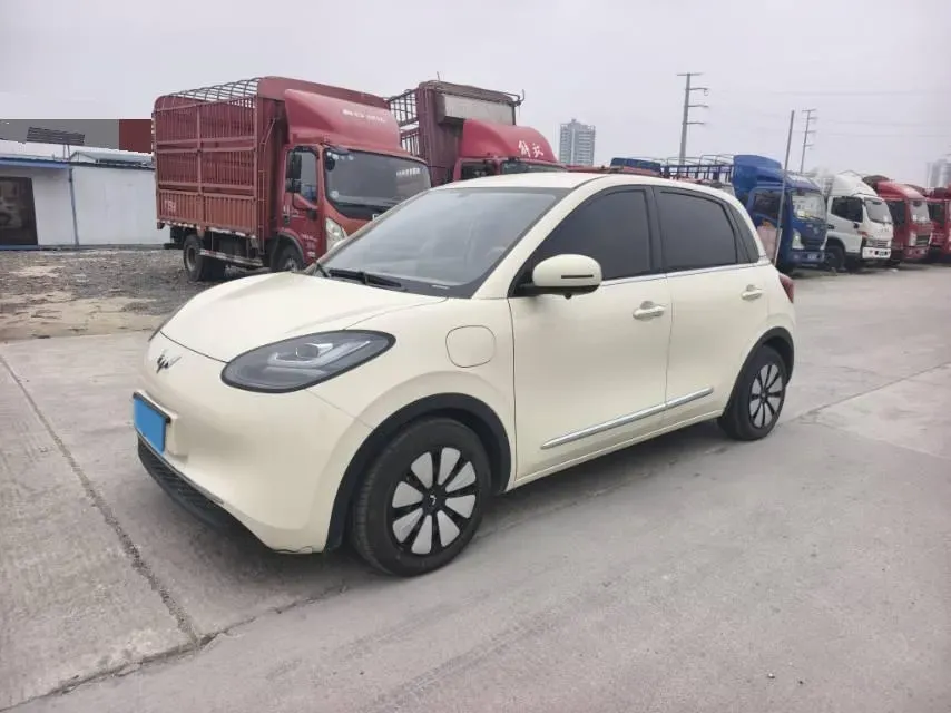 2024 WuLing BinGuo BEV 31.9KWH,autocango,china used car exporter,china ev exporter,chinese used car exporter,chinese used ev exporter