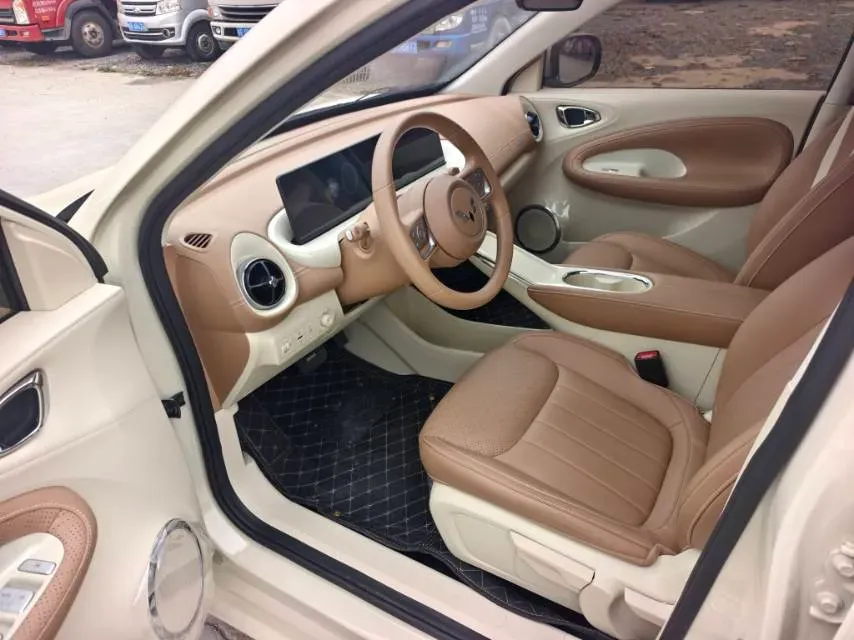 2024 WuLing BinGuo BEV 31.9KWH,autocango,china used car exporter,china ev exporter,chinese used car exporter,chinese used ev exporter