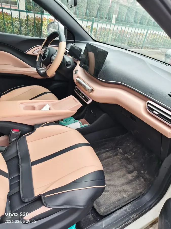 2025 BYD Seagull BEV 30.08KWH,autocango,china used car exporter,china ev exporter,chinese used car exporter,chinese used ev exporter