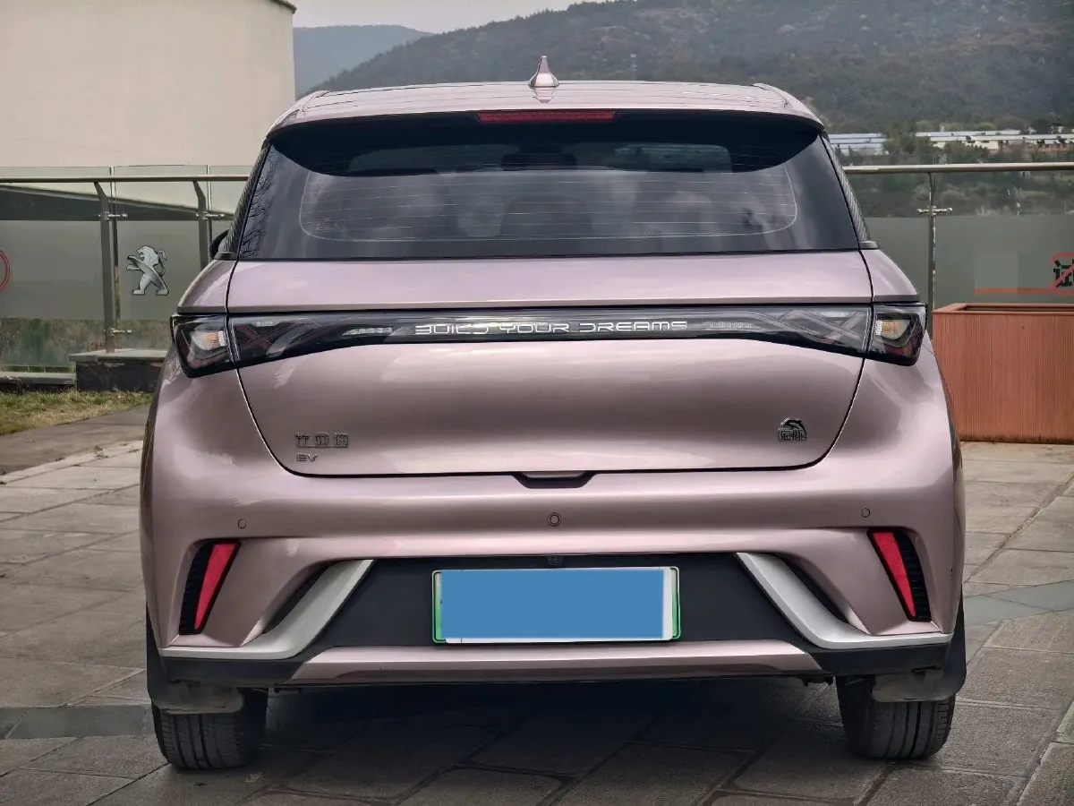 2021 BYD Yuan Pro BEV 50.1KWH,autocango,china used car exporter,china ev exporter,chinese used car exporter,chinese used ev exporter