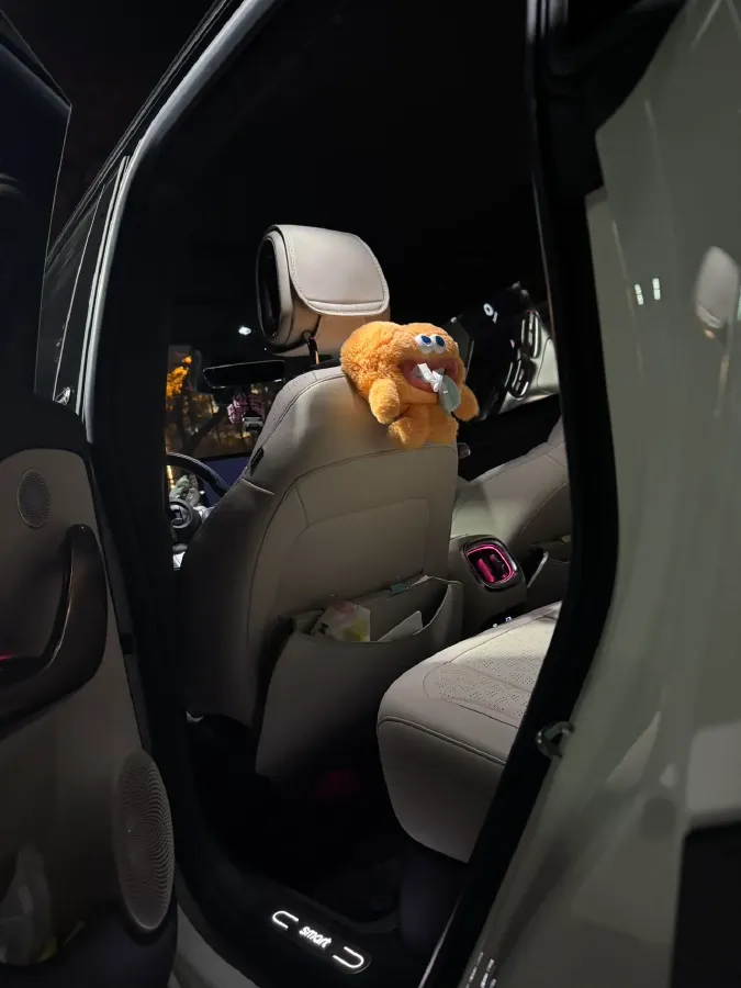 2022 Smart smart Elf 1 BEV 66KWH,autocango,china used car exporter,china ev exporter,chinese used car exporter,chinese used ev exporter