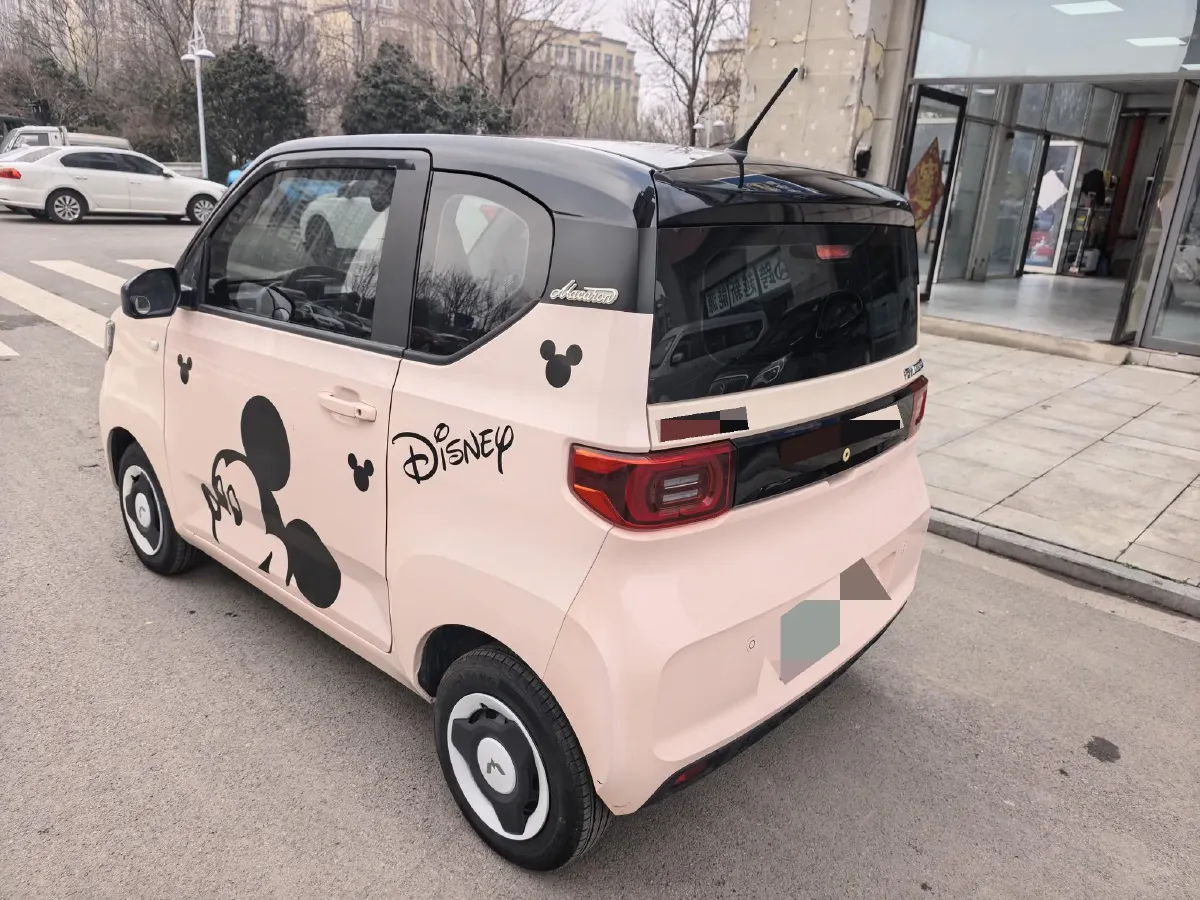 2021 WuLing HongGuang MINI EV BEV 13.8KWH,autocango,china used car exporter,china ev exporter,chinese used car exporter,chinese used ev exporter