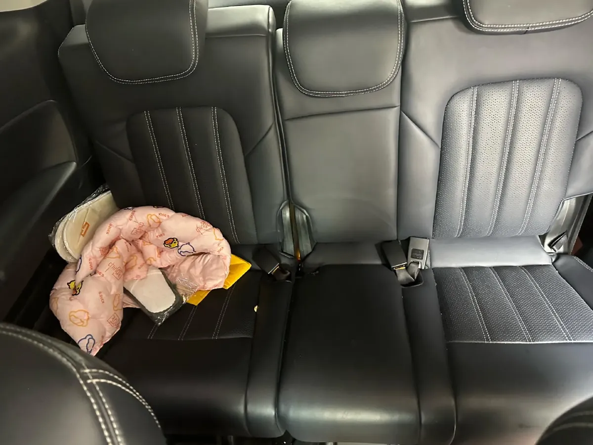 2021 GAC Trumpchi M8 2.0T 252HP L4 8AT,autocango,china used car exporter,china ev exporter,chinese used car exporter,chinese used ev exporter