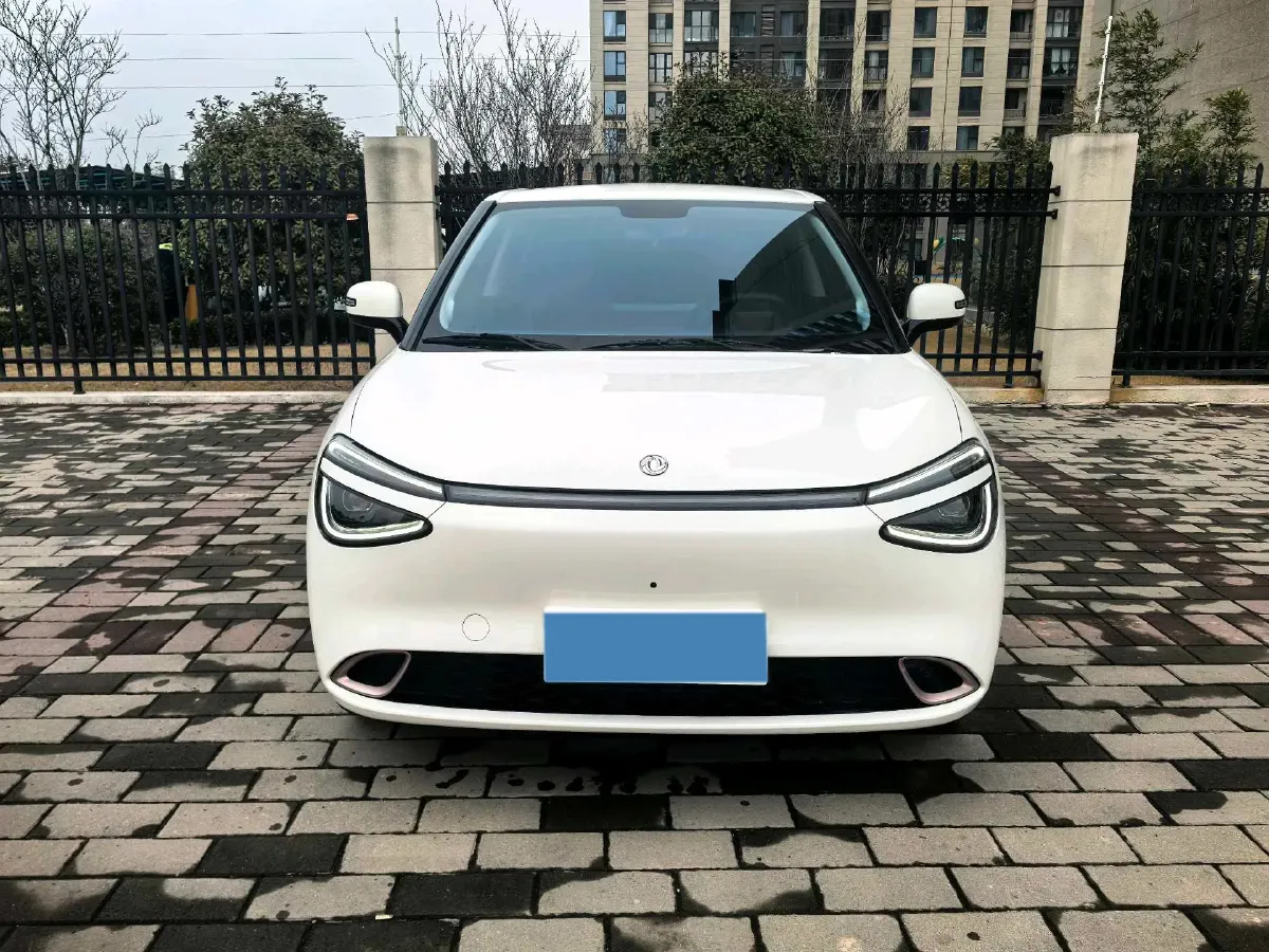 2024 DongFeng eπ 01 BEV 31.45KWH,autocango,china used car exporter,china ev exporter,chinese used car exporter,chinese used ev exporter