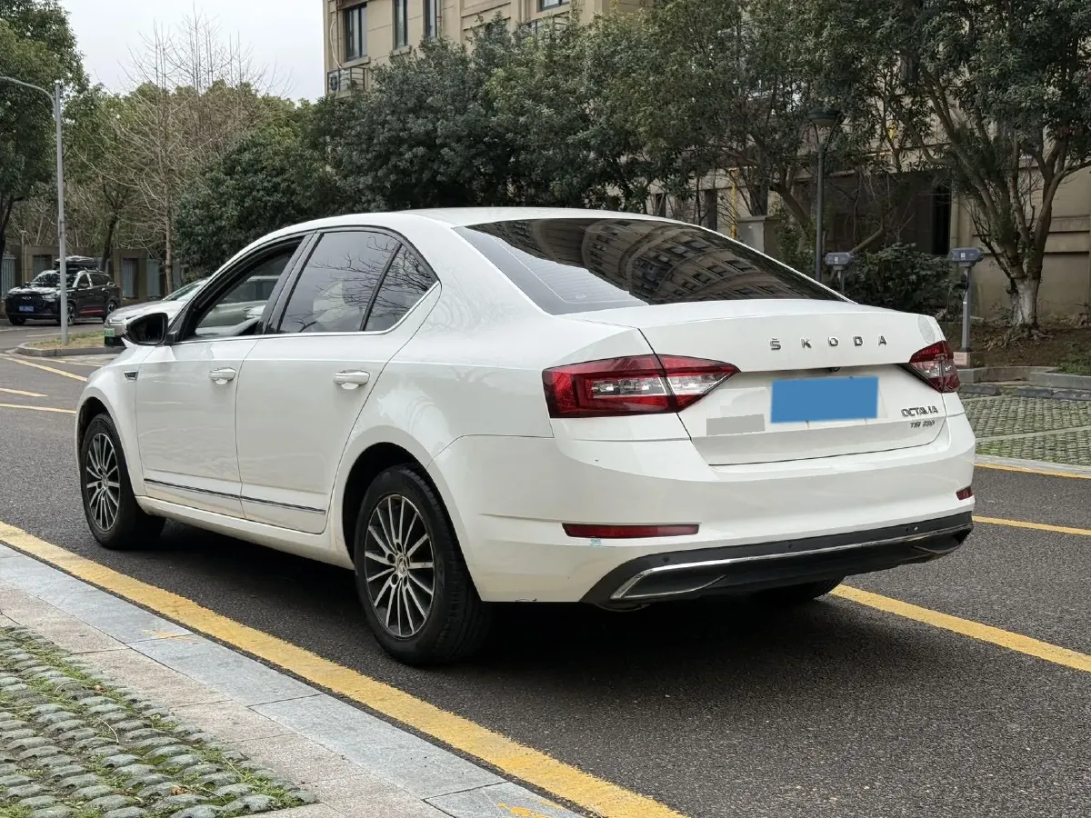 2019 Skoda Octavia 1.2T 116HP L4 7DCT,autocango,china used car exporter,china ev exporter,chinese used car exporter,chinese used ev exporter
