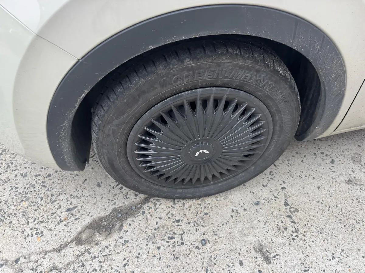 2023 WuLing BinGuo BEV 31.9KWH,autocango,china used car exporter,china ev exporter,chinese used car exporter,chinese used ev exporter