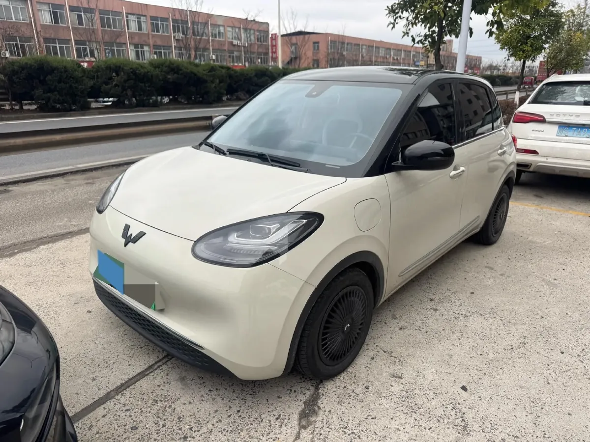 2023 WuLing BinGuo BEV 31.9KWH,autocango,china used car exporter,china ev exporter,chinese used car exporter,chinese used ev exporter