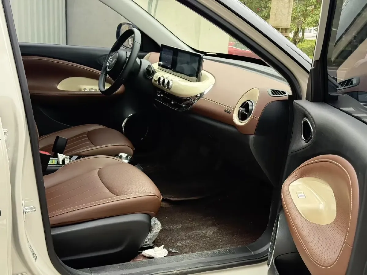 2023 WuLing BinGuo BEV 31.9KWH,autocango,china used car exporter,china ev exporter,chinese used car exporter,chinese used ev exporter