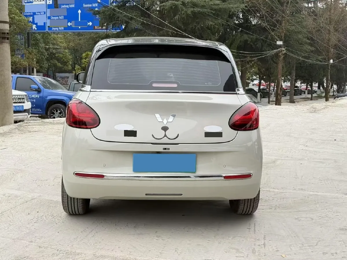 2023 WuLing BinGuo BEV 31.9KWH,autocango,china used car exporter,china ev exporter,chinese used car exporter,chinese used ev exporter