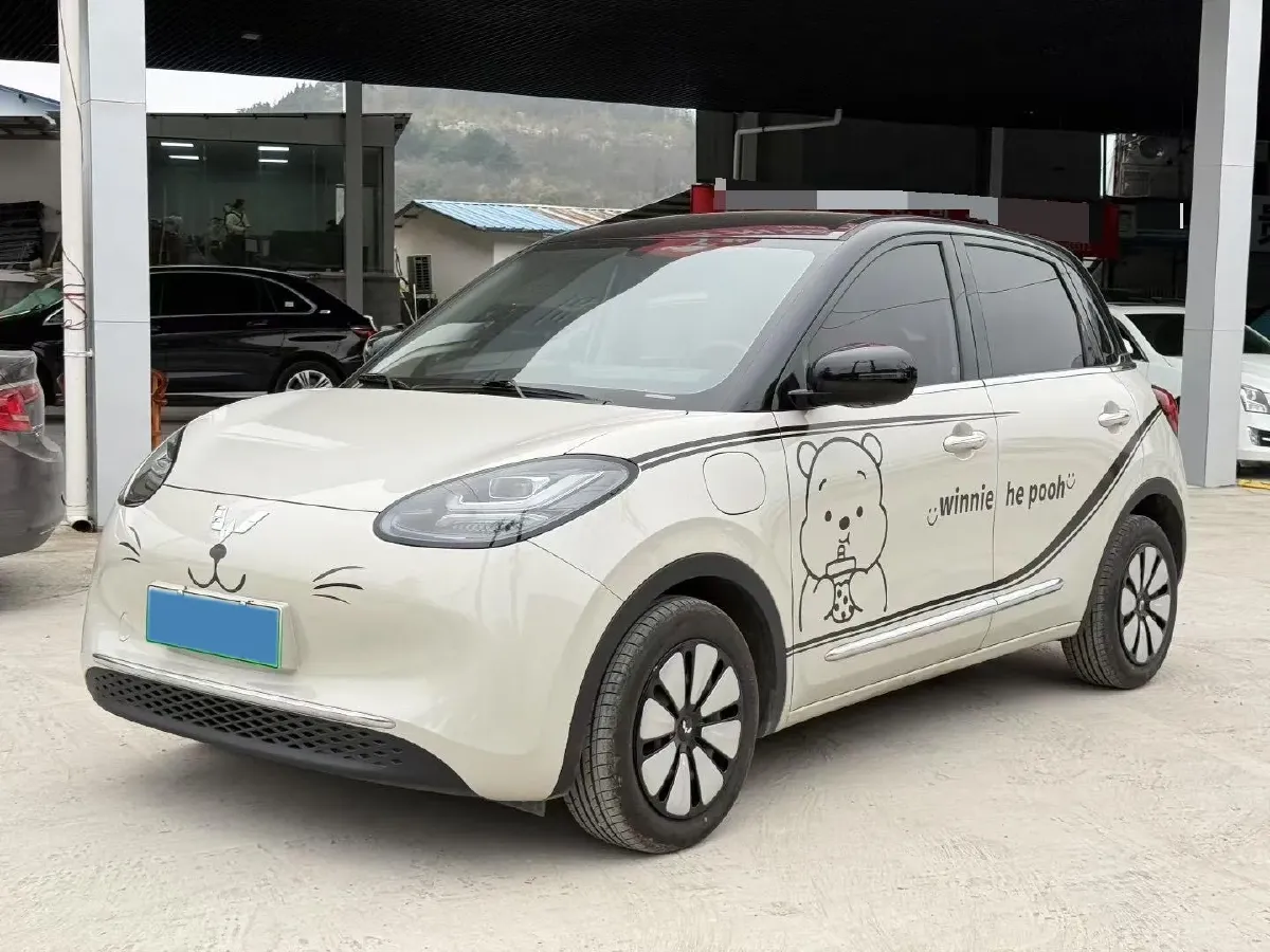 2023 WuLing BinGuo BEV 31.9KWH,autocango,china used car exporter,china ev exporter,chinese used car exporter,chinese used ev exporter