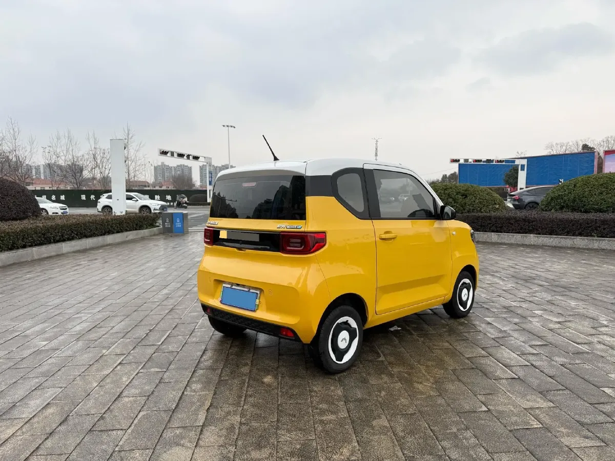 2021 WuLing HongGuang MINI EV BEV 9KWH,autocango,china used car exporter,china ev exporter,chinese used car exporter,chinese used ev exporter