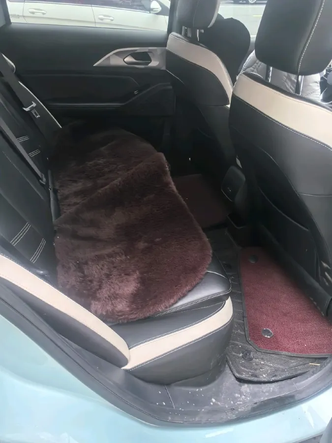 2023 Geometry E BEV 33.5KWH,autocango,china used car exporter,china ev exporter,chinese used car exporter,chinese used ev exporter