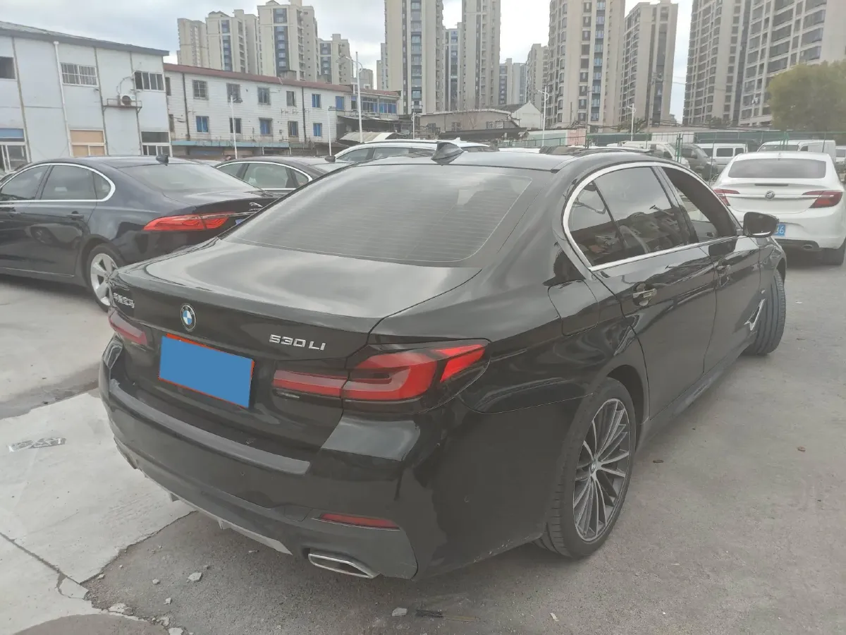 2021 BMW 5 Series 2.0T 252HP L4 8AT,autocango,china used car exporter,china ev exporter,chinese used car exporter,chinese used ev exporter