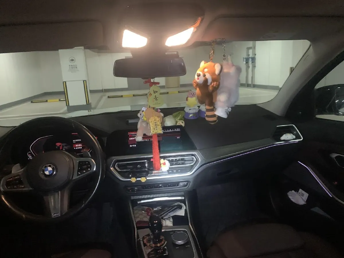 2021 BMW 3 Series 2.0T 184HP L4 8AT,autocango,china used car exporter,china ev exporter,chinese used car exporter,chinese used ev exporter